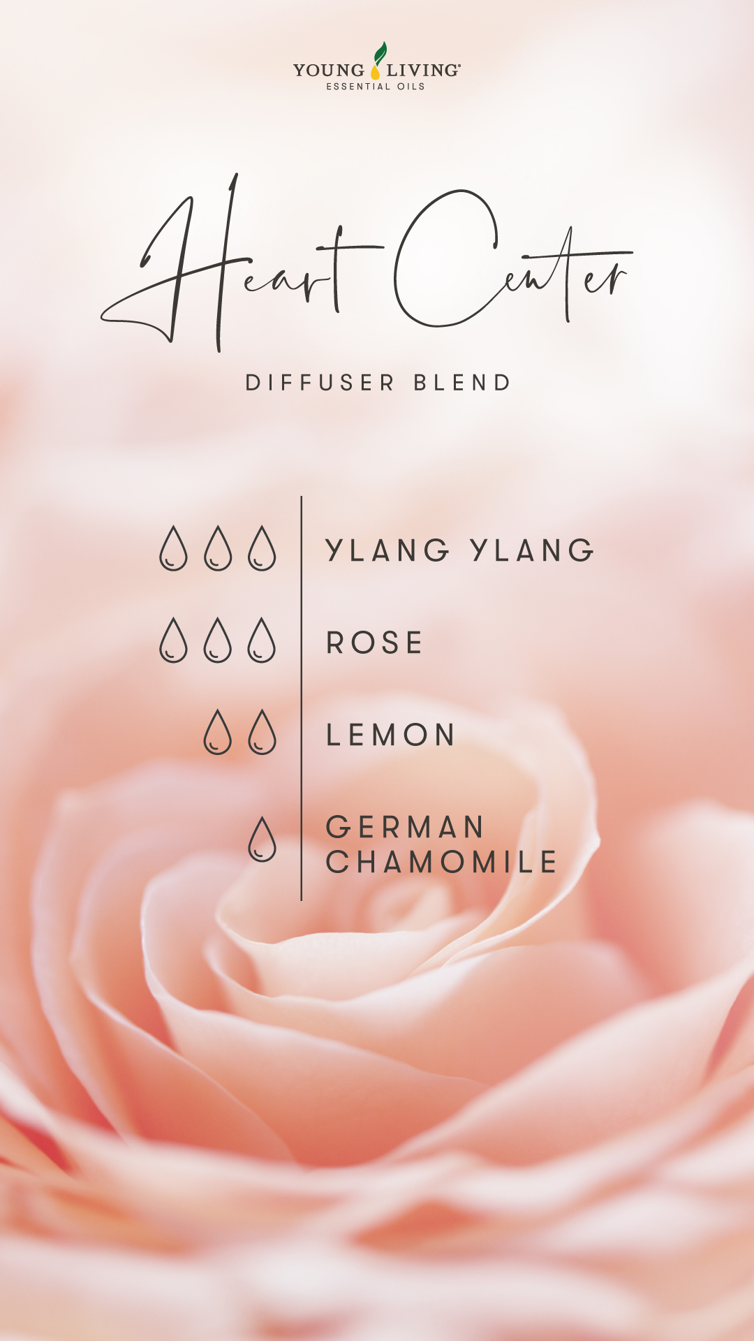 blog_Breathe-in-relaxation-6-diffuser-blends-for-yoga_Heart-Center_US Heart Center Diffuser Blend - 3 drops Ylang Ylang, 3 drops Rose, 2 drops Lemon, 1 drop German Chamomile