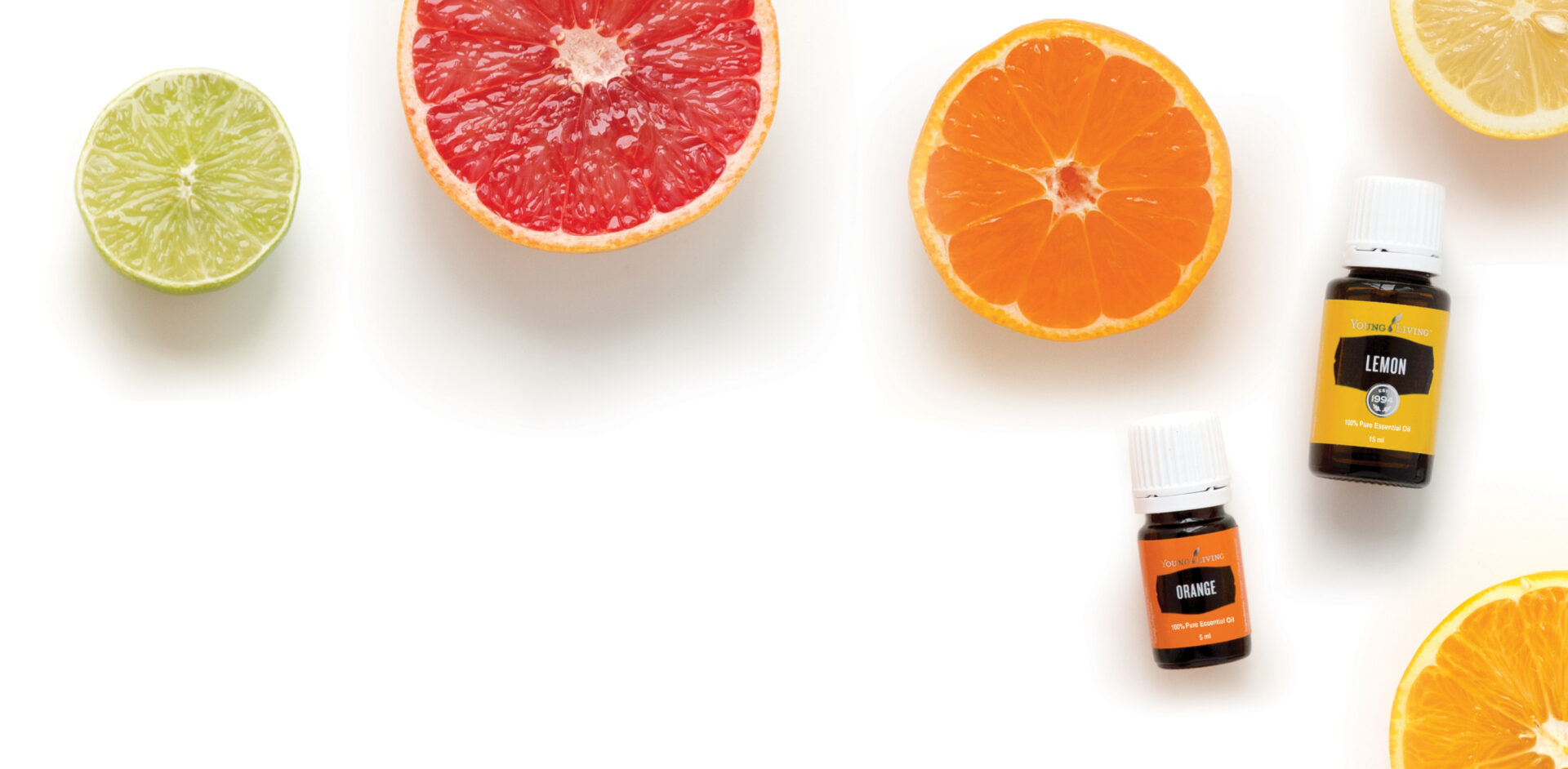 2016 Product Guide Cover-031_Option A_main (1)_NT_11816 Photosensitive essential oils - photo of Lemon, Lime, Bergamot, Orange, and Citrus Fresh next to fresh cut citrus fruits - Young Living Lavender Life Blog