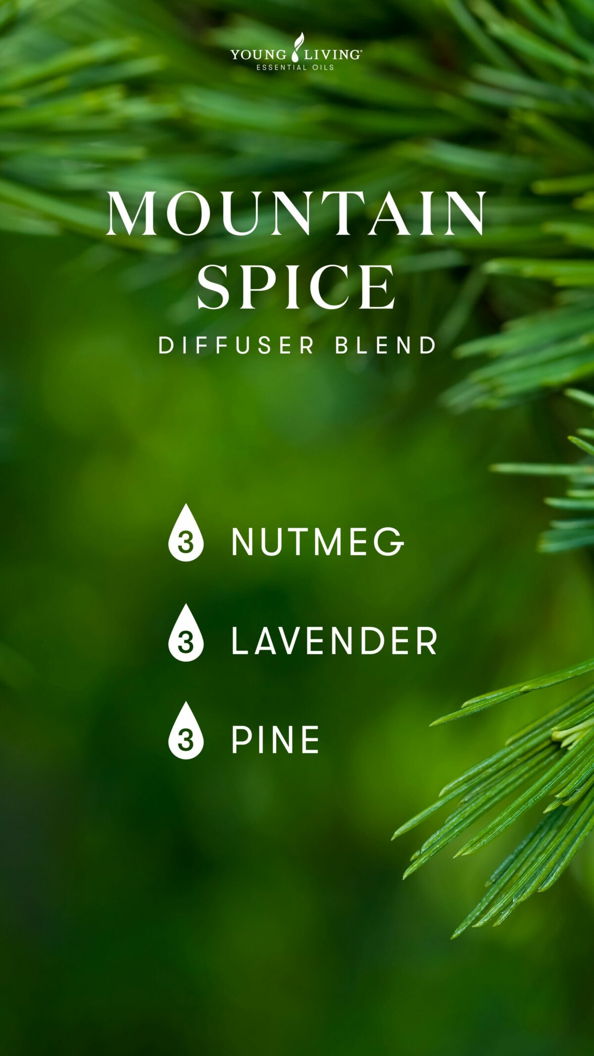 Nutmeg essential oil Warm, spicy, and uplifting Young Living Blog