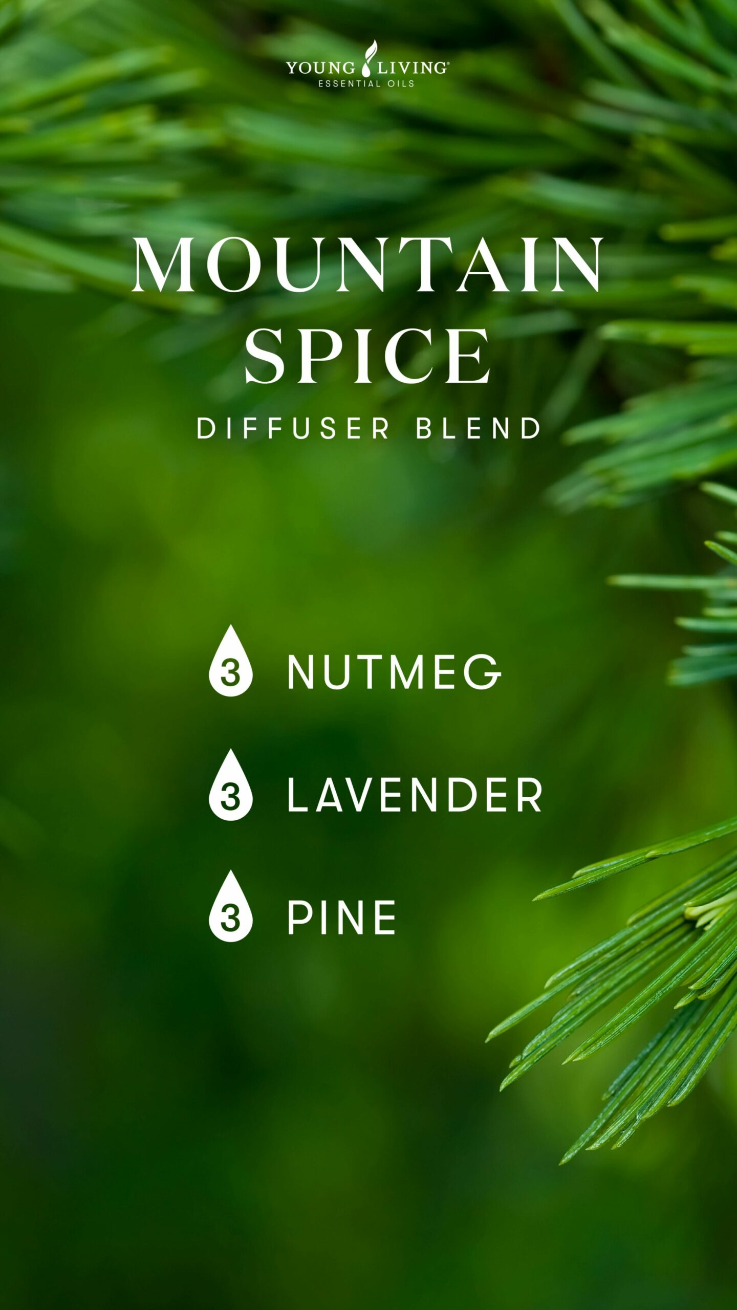 Blog-Nutmeg essential oil Warm, spicy, and uplifting_Mountain Spice-Diffuser Blend_US_v2 Mountain Spice Diffuser Blend - Young Living Lavender Life Blog