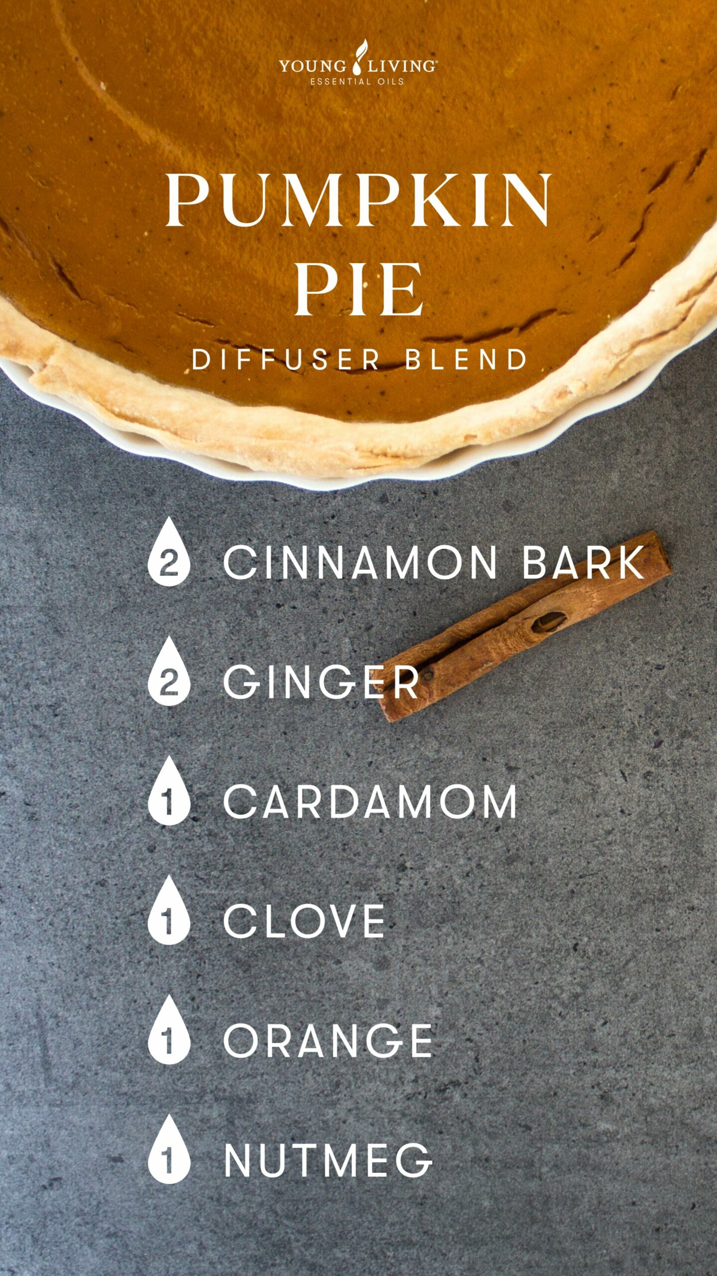 Blog-Nutmeg essential oil Warm, spicy, and uplifting_Pumpkin Pie-Diffuser Blend_US_v2 Pumpkin Pie Diffuser Blend - Young Living Lavender Life Blog