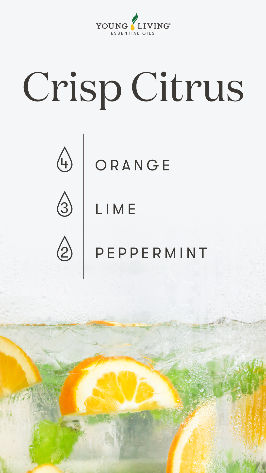 Crisp Citrus diffuser blend - Young Living Lavender Life Blog 