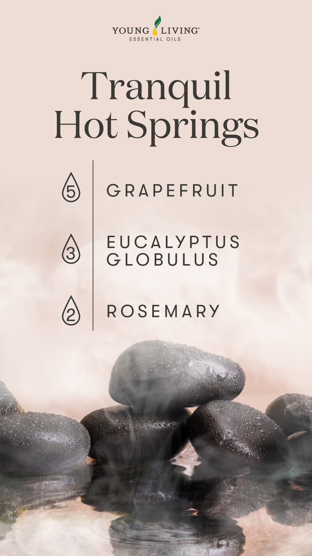 Blog-Quick-clean–How-to-refresh-your-bathroom-with-essential-oils_Tranquil-Hot-Springs-Diffuser-Blend_US Tranquil Hot Springs diffuser blend - Young Living Lavender Life Blog