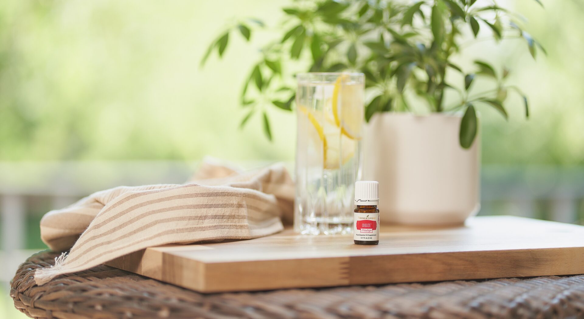 DiGize Vitality sitting on countertop - Young Living Lavender Life Blog
