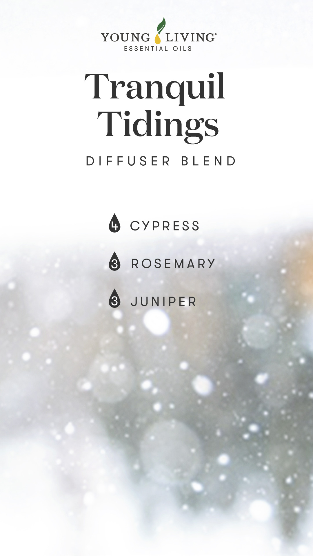 Blog-Diffuser-blends-for-all-your-holiday-feels_Tranquil-Tidings-Diffuser-Blend_US Tranquil Tidings diffuser blend - Young Living Lavender Life Blog
