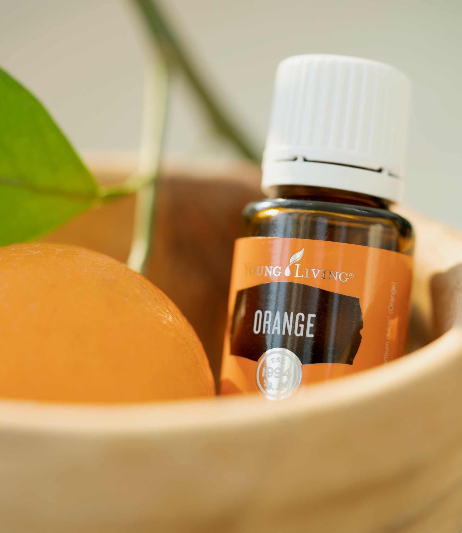 Orange Essential Oil sitting in bowl next to a fresh orange - Young Living Lavender Life Blog