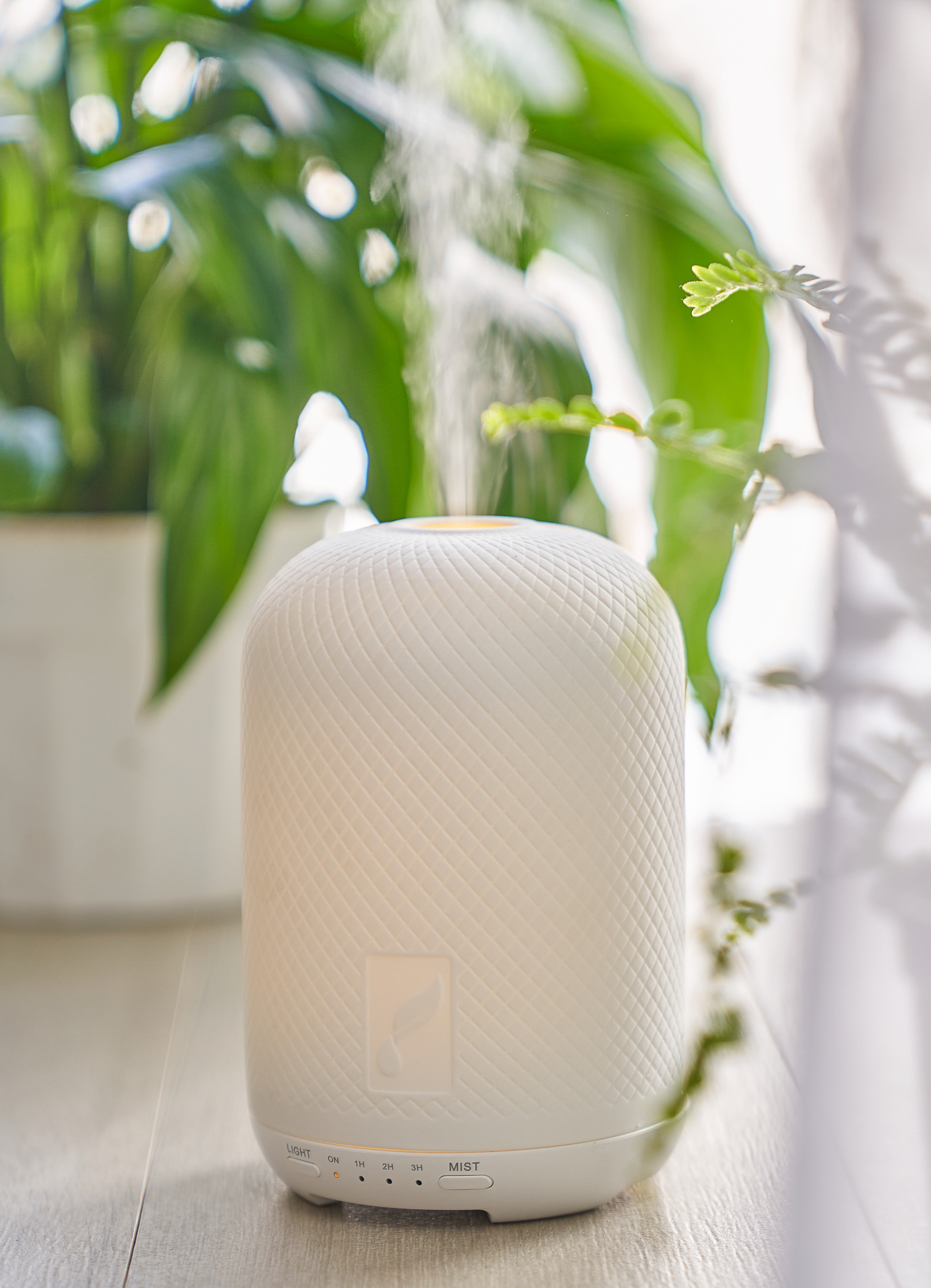 Haven Ceramic Diffuser in front of a house plant - Young Living Lavender Life Blog 