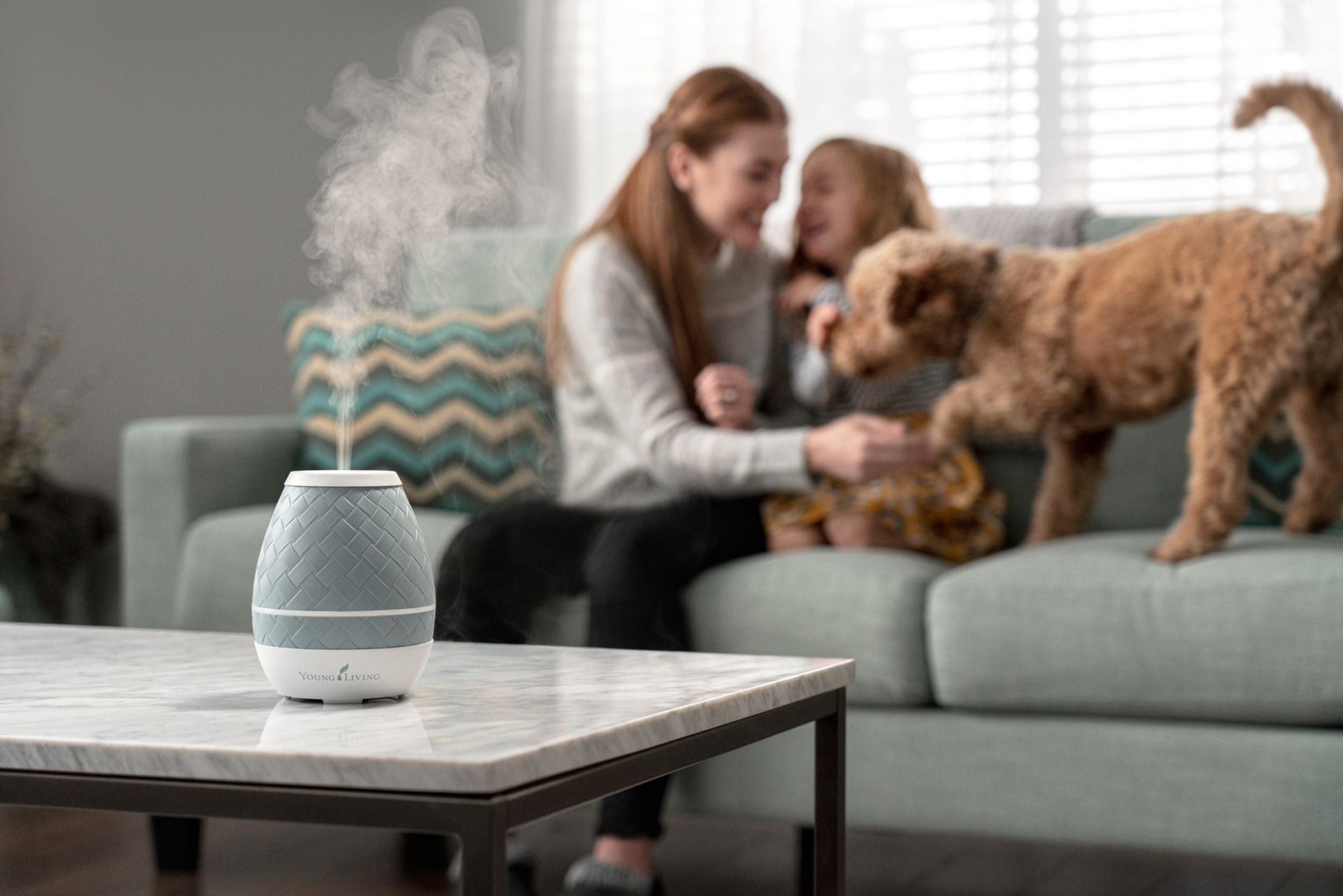 Sweet Aroma Diffuser in the living room with family