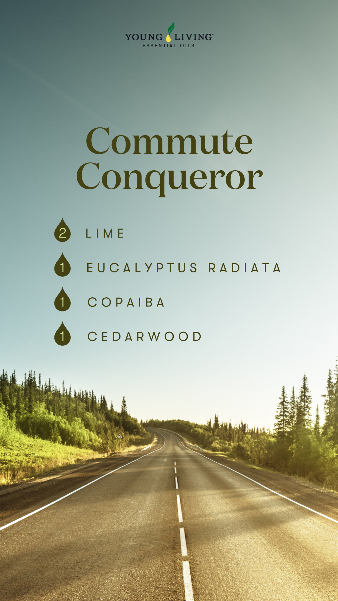 Commute Conqueror • 2 drops Lime • 1 drop Eucalyptus Radiata • 1 drop Copaiba • 1 drop Cedarwood