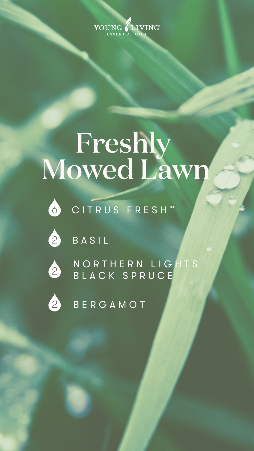 Freshly Mowed Lawn - •6 drops Citrus Fresh •2 drops Basil •2 drops Northern Lights Black Spruce •2 drops Bergamot - Young Living Lavender Life Blog 