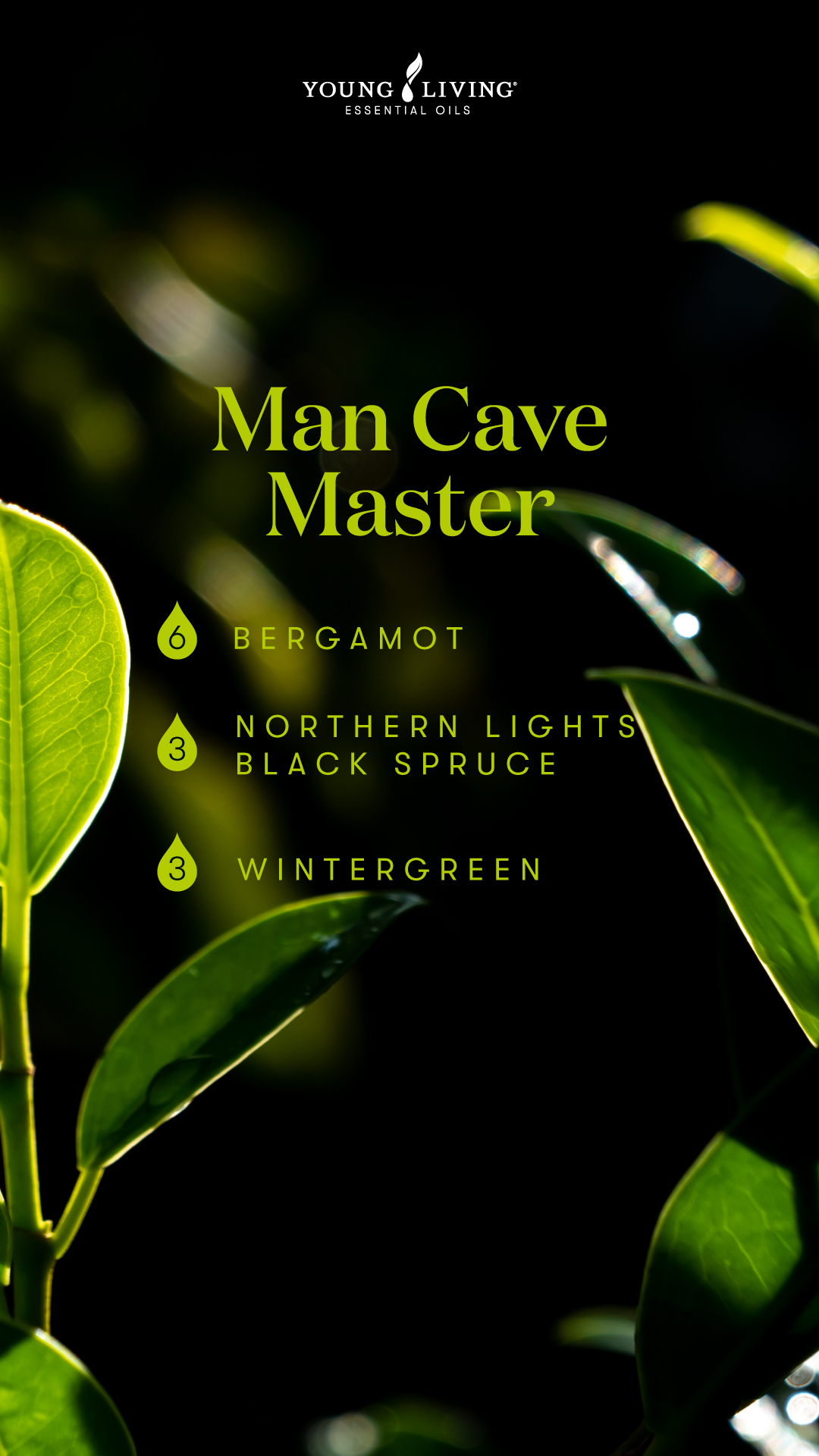 Man Cave Master - •6 drops Bergamot •3 drops Northern Lights Black Spruce •3 drops Wintergreen - Young Living Lavender Life Blog 