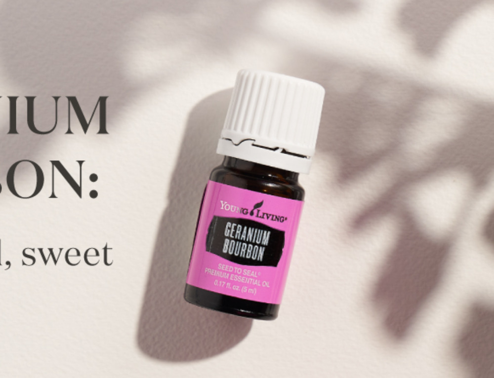Helichrysum Oil Uses & Facts Young Living Blog