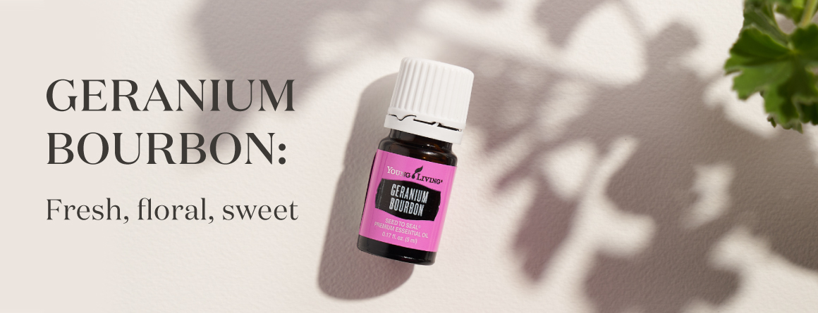 Geranium Bourbon: Fresh, floral, sweet - Young Living Lavender Life Blog