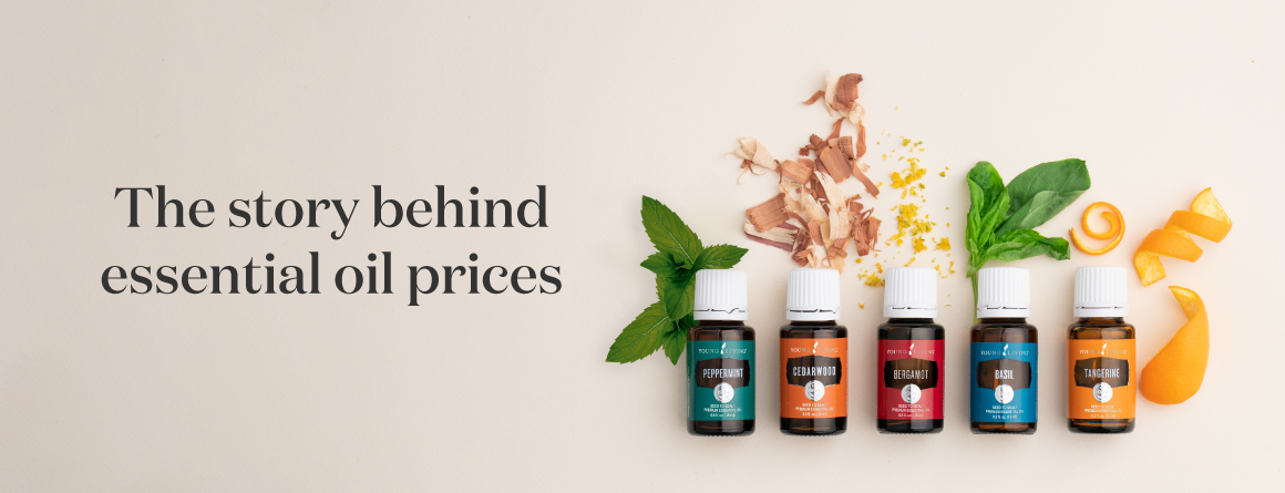 The story behind essential oil prices