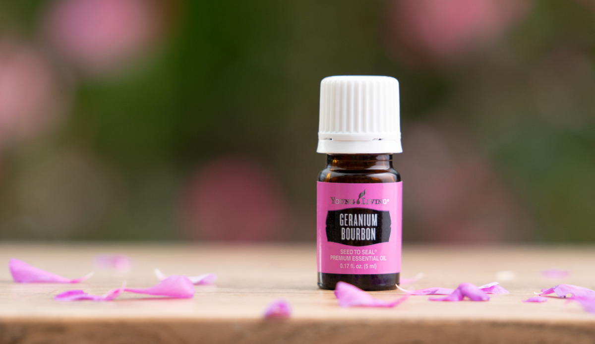 Geranium Bourbon Fresh, floral, sweet Young Living Blog US EN