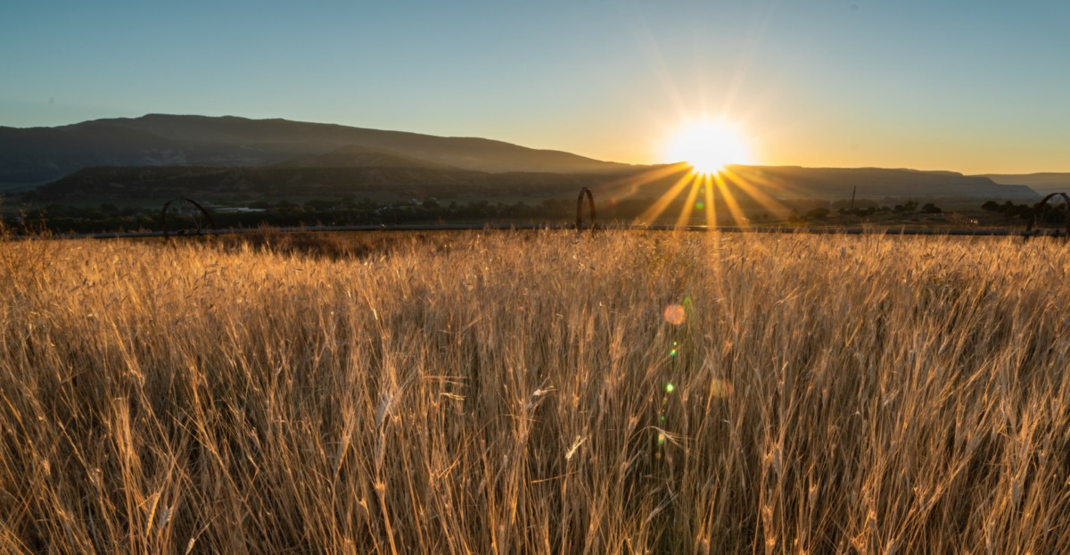 Farm facts Skyrider Wilderness Ranch LaptrinhX / News