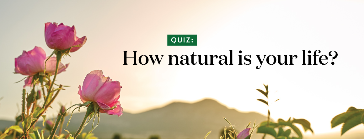Quiz: How natural is your life? - Young Living Lavender Life Blog