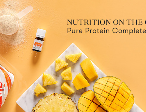 Nutrition on the go: Pure Protein Complete smoothie recipes