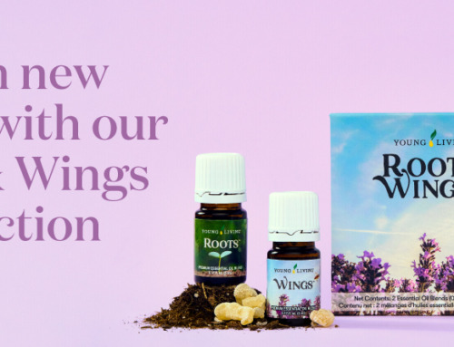 Reach new heights with our Roots & Wings Collection