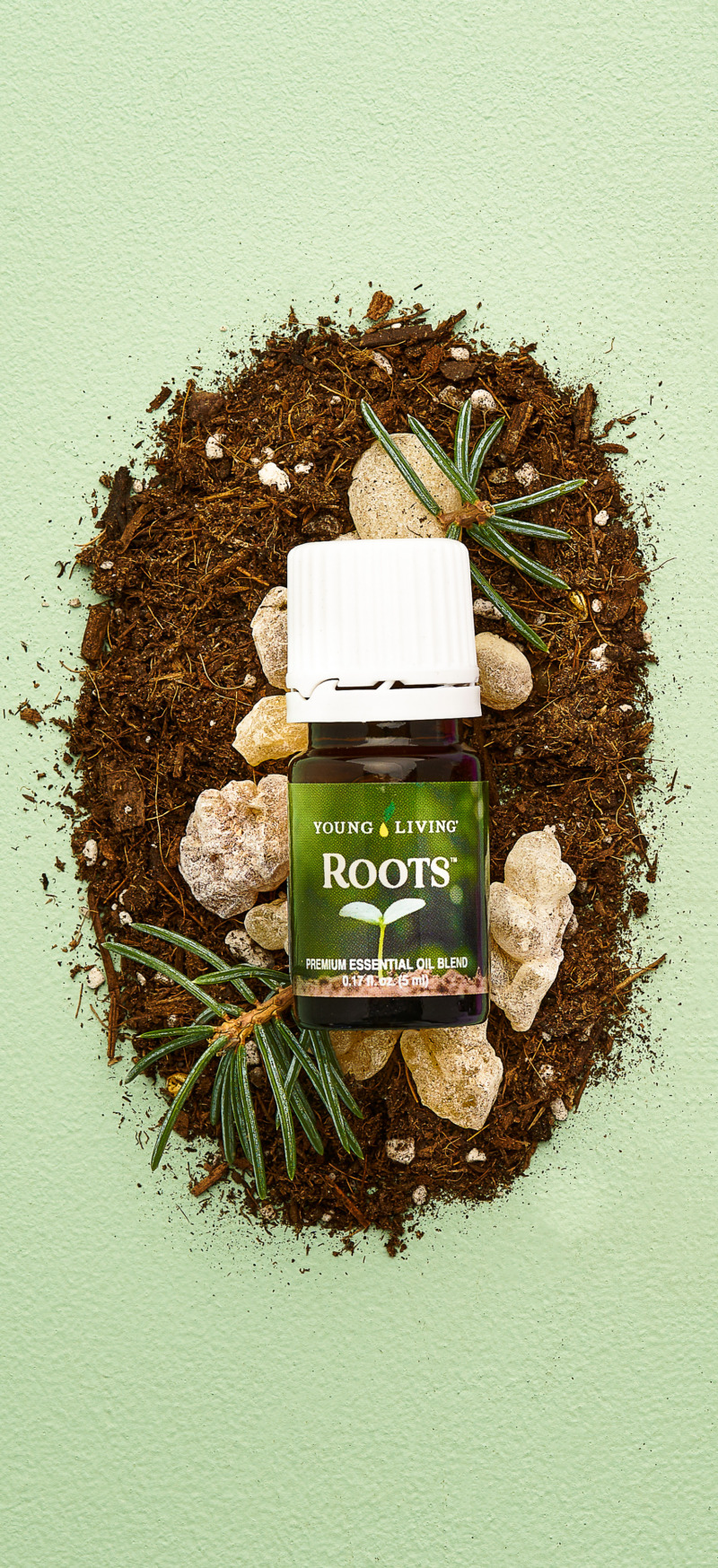 All About Our Roots & Wings Collection Young Living Blog