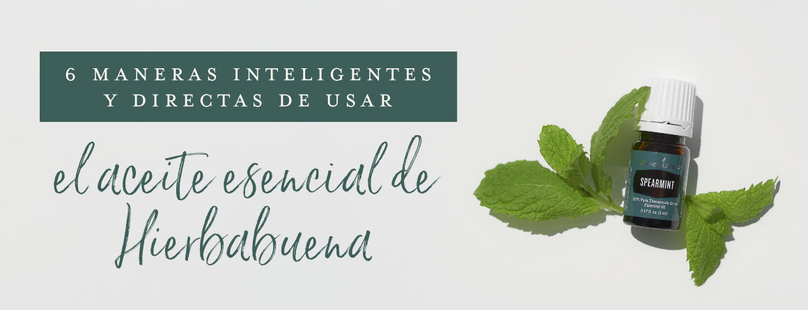 Para Qué Sirve el ACEITE de MENTA - Propiedades y Beneficios