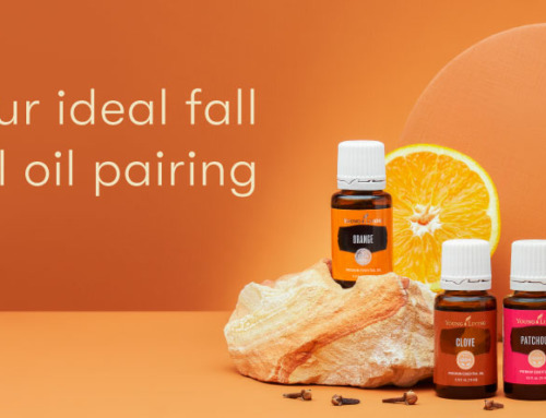 Meet your ideal fall essential oil pairing