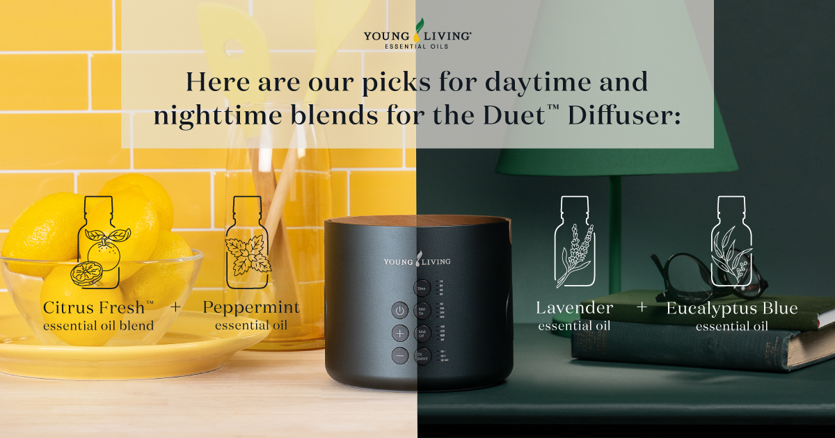 Day and Night Duet Diffuser Blends