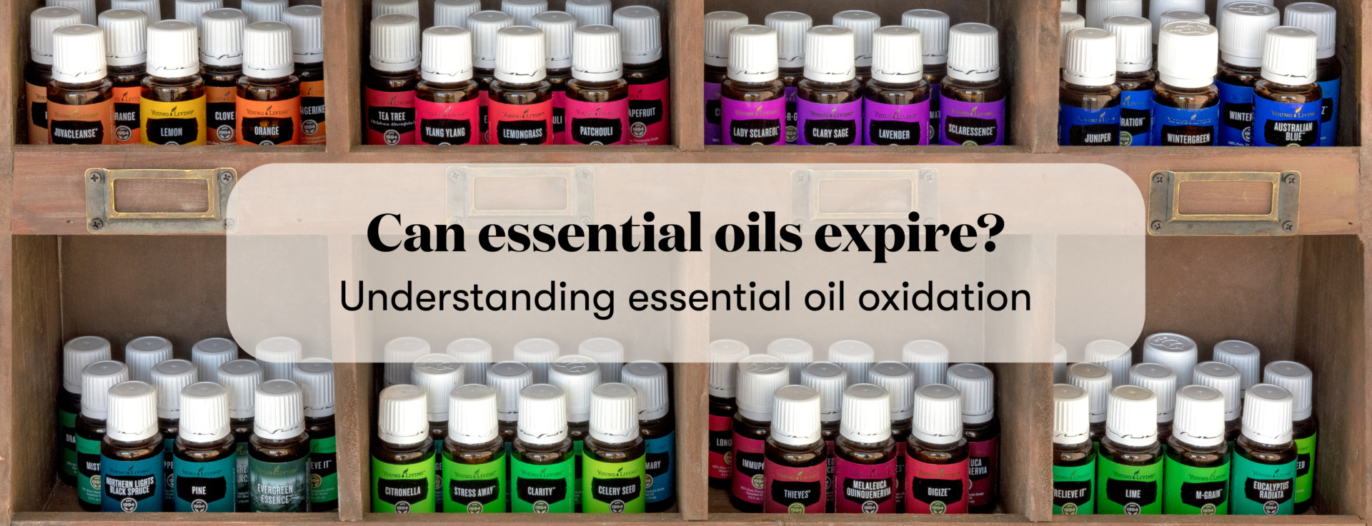 Do Essential Oils Expire? Oxidation & Essential Oils | Young Living Blog