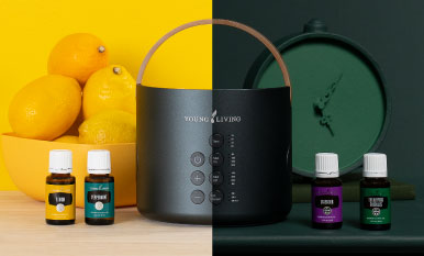 All About the Duet Waterless Oil Diffuser | Young Living Essential Oils