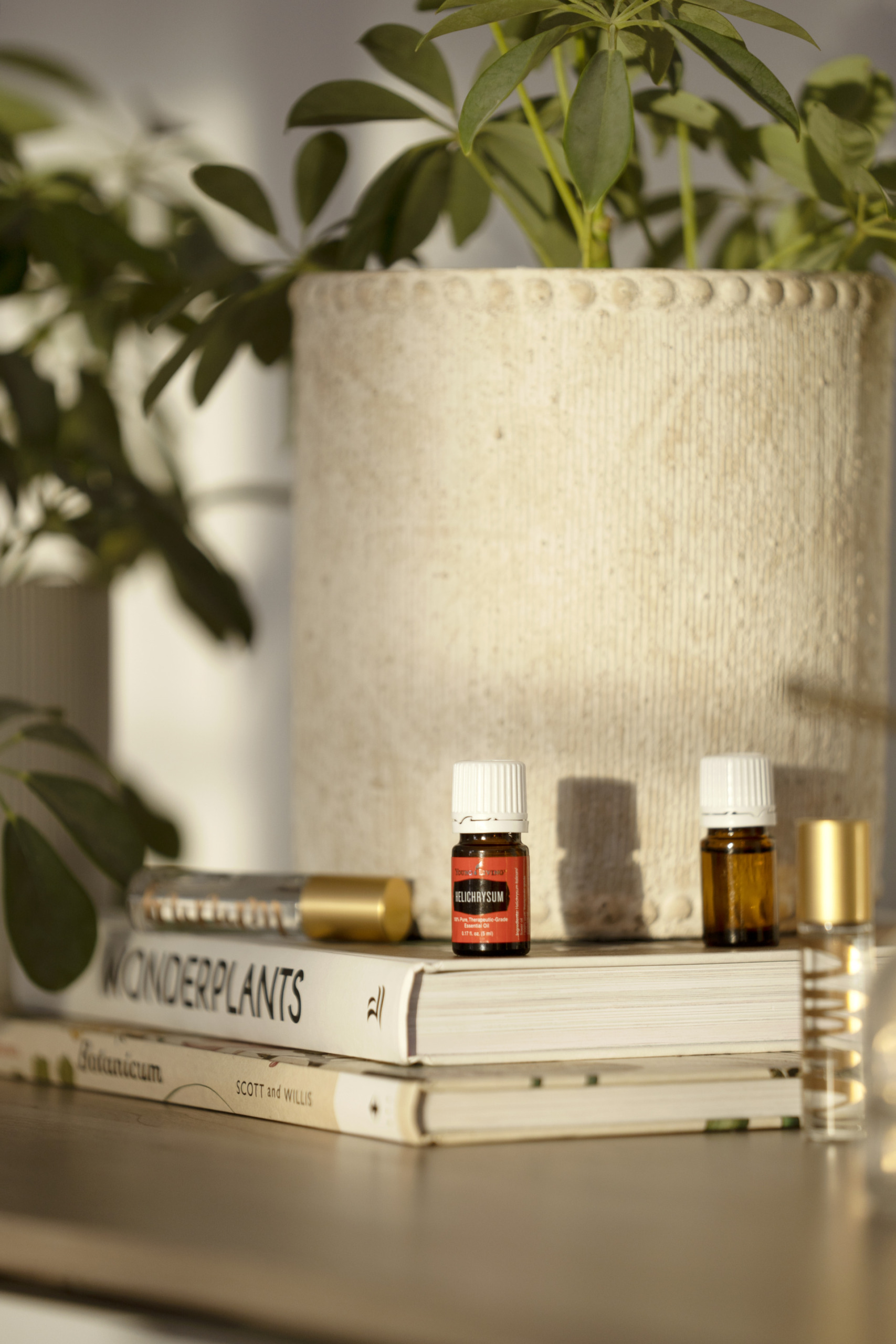 Essential oils on a shelf