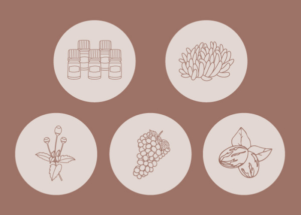 graphics depicting different natural ingredients such as plants, seeds, and essential oils