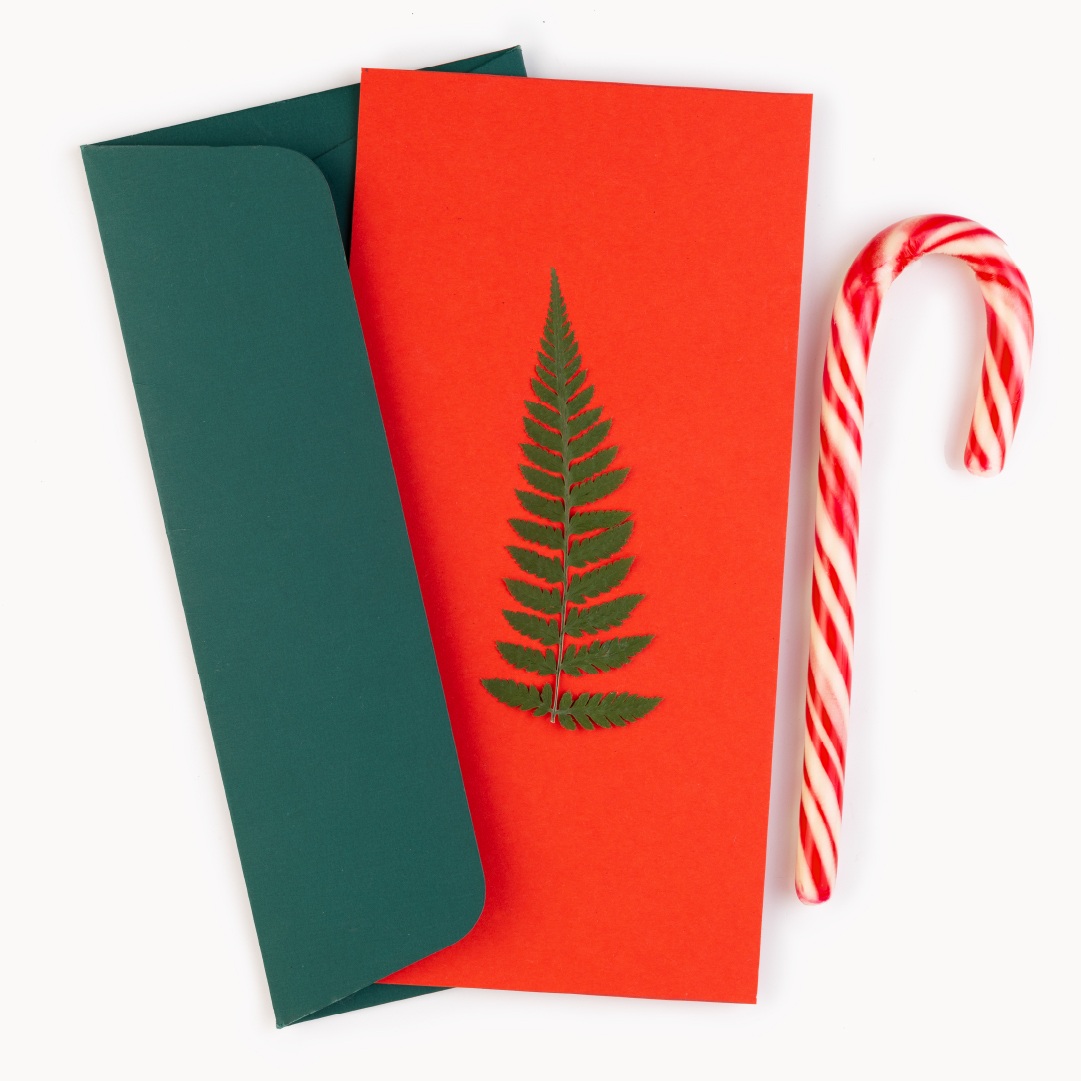 red and green christmas cards with a candy cane