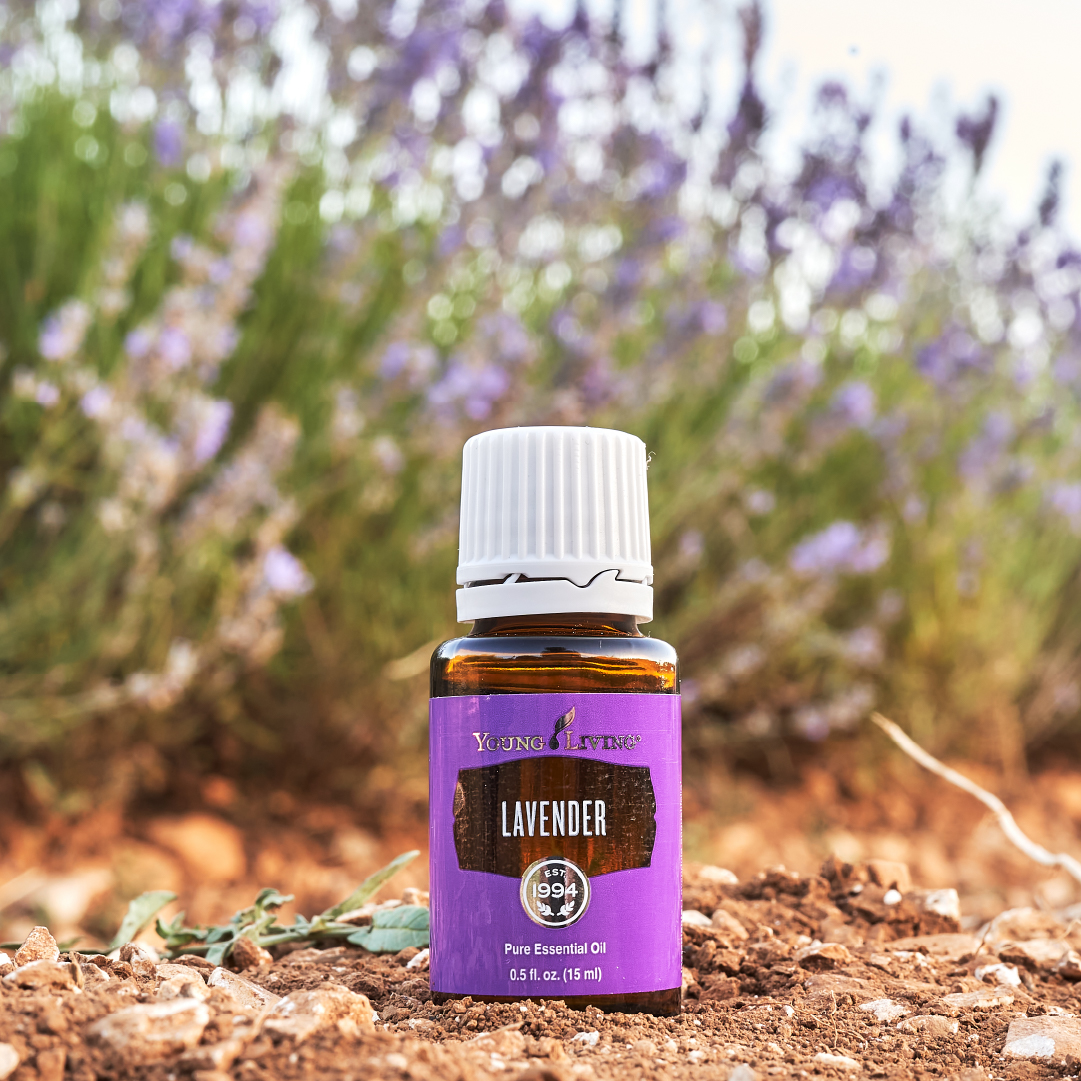 bottle of lavender essential oil