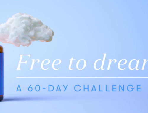 What if thousands of people dreamed together? The 60-day Dream Catcher™ challenge