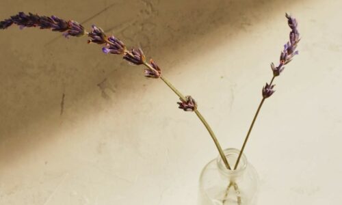Self-Care Practices for Body, Mind, Soul
