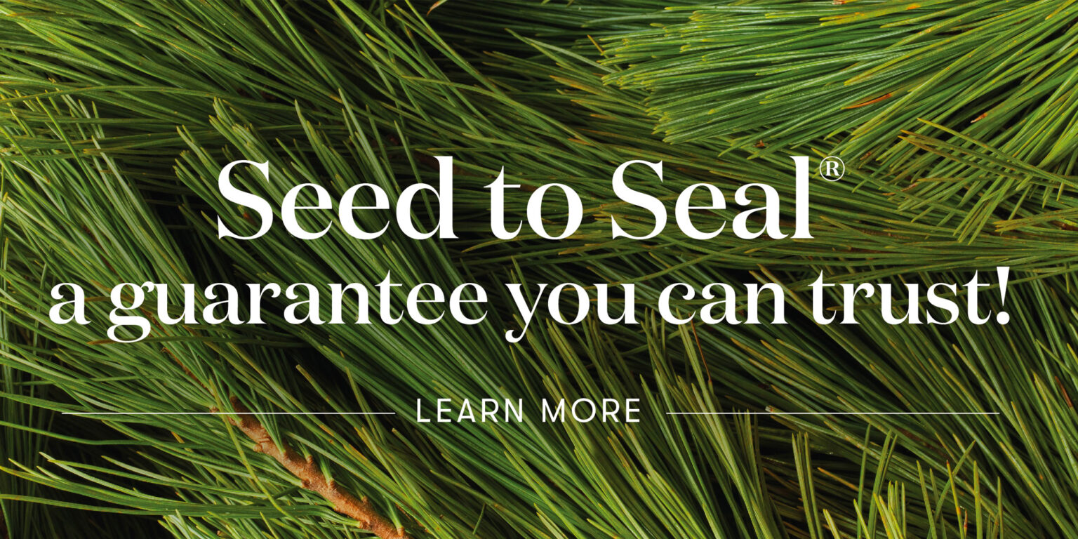 Seed to Seal Malaysia Learning Center