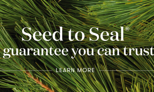 Seed to Seal