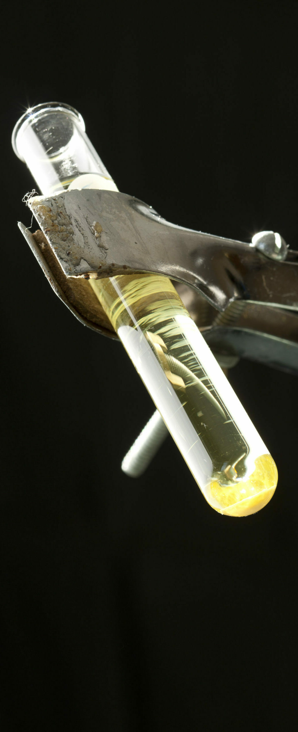 Boswellia Hexane Test 01