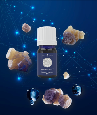 Screenshot 2025-07-17 095606