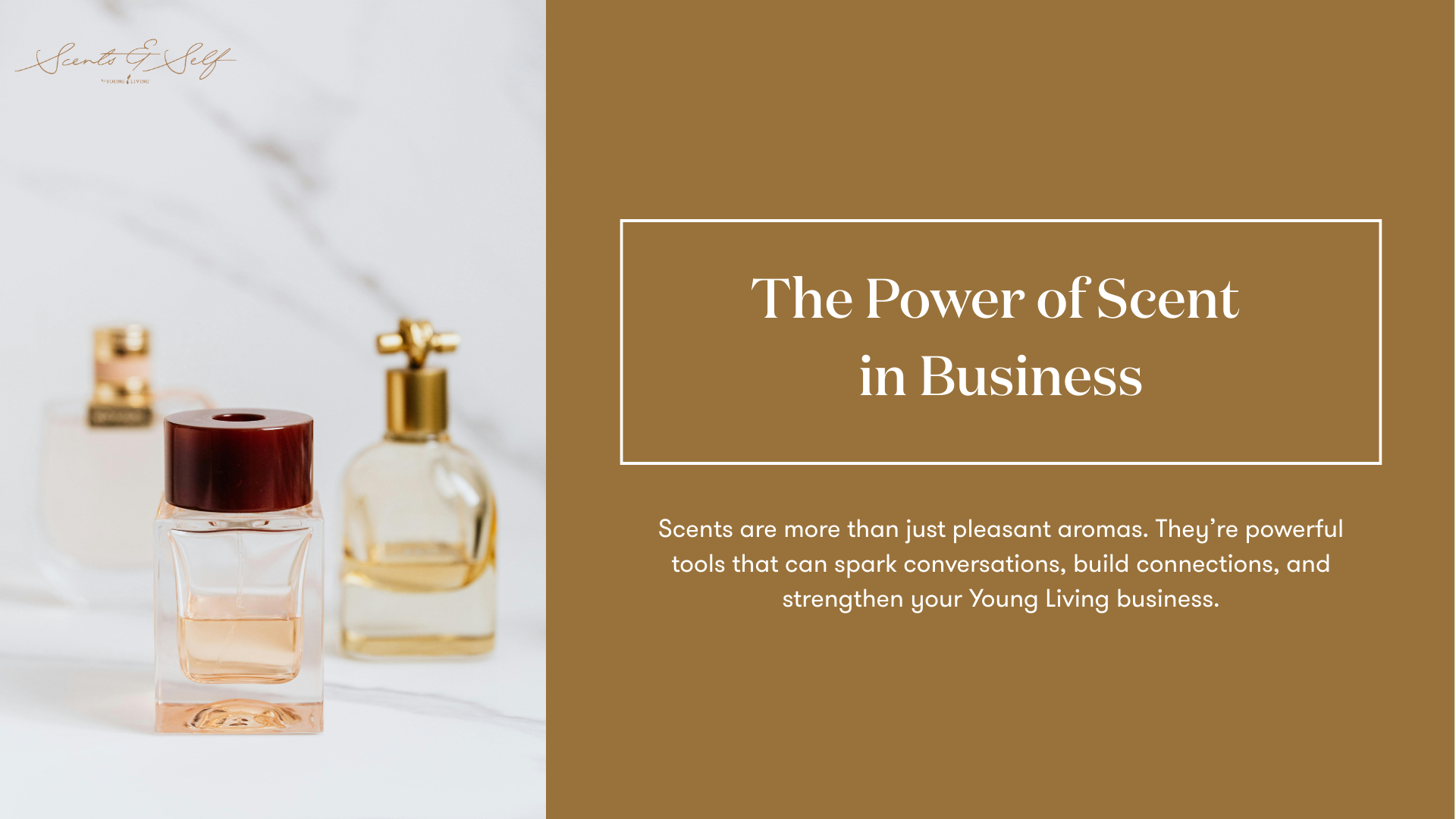 Scents & Self ELM – MEJ (1)