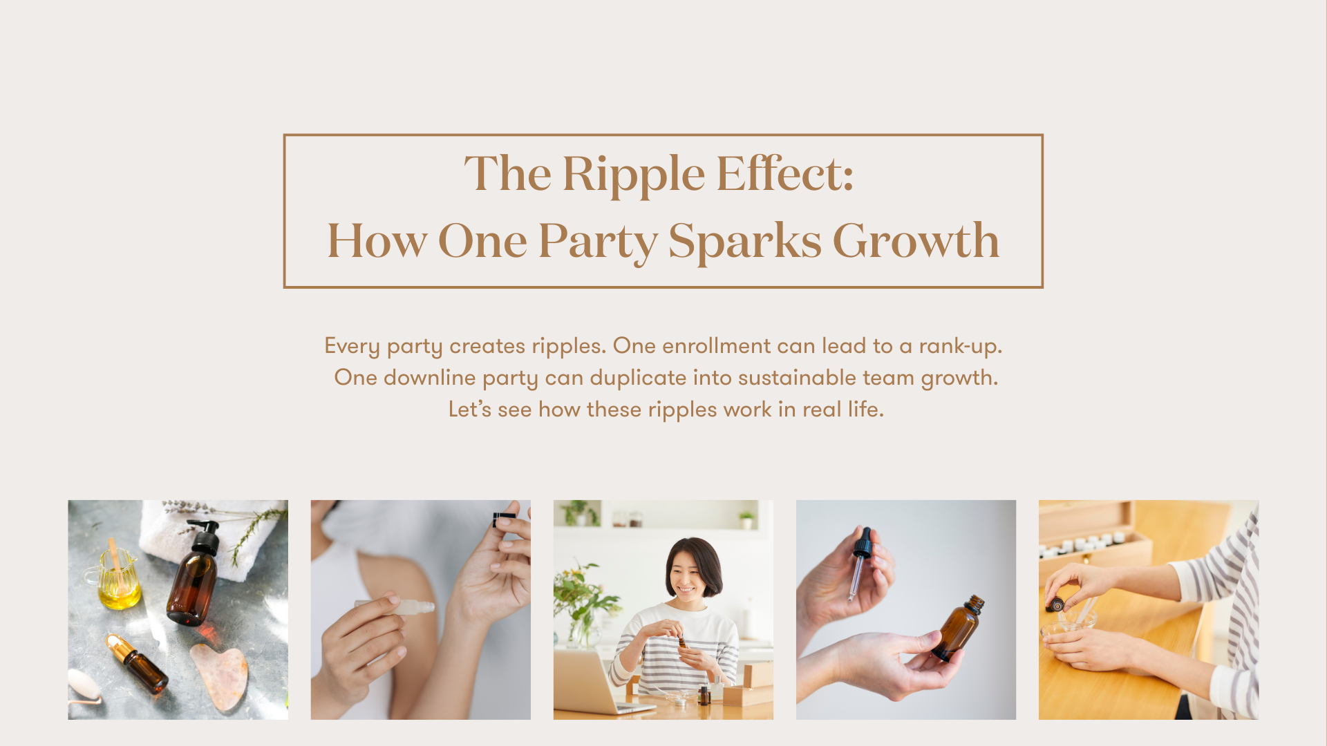 S&S – Profit – 3