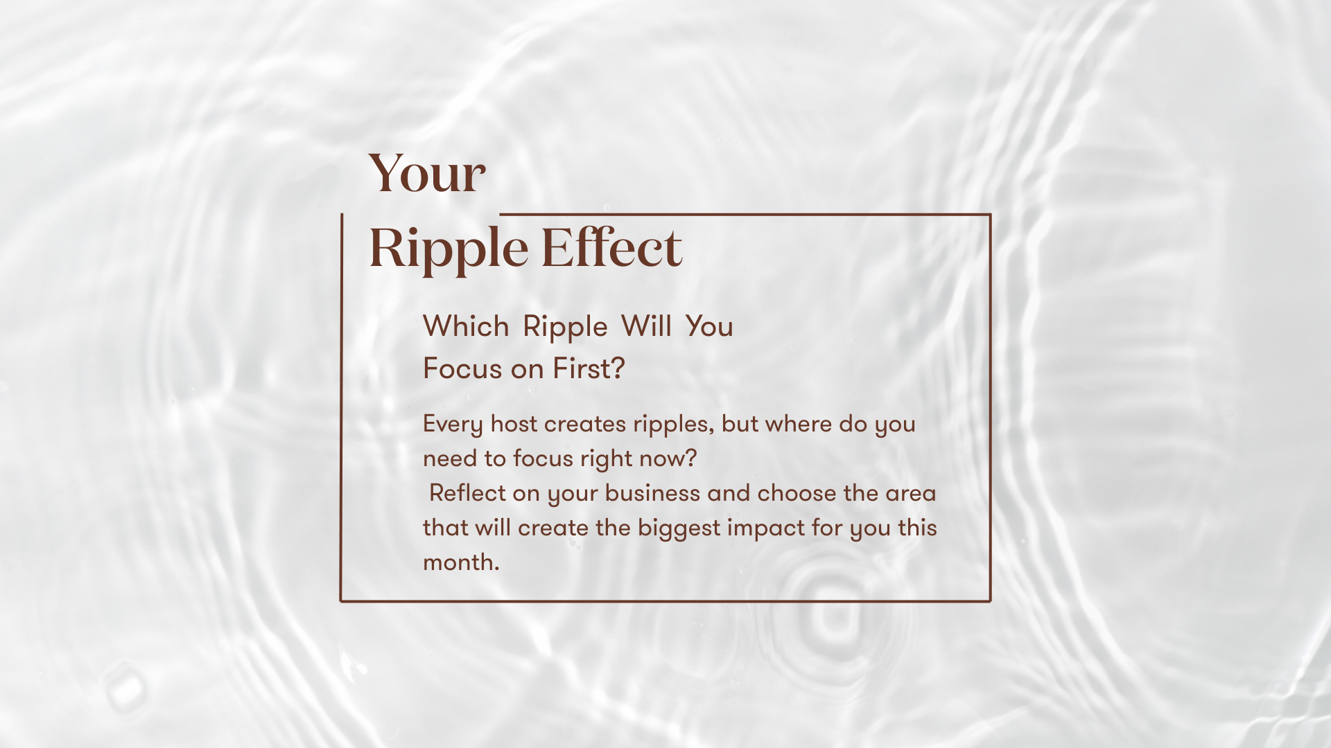 S&S – Profit – 6