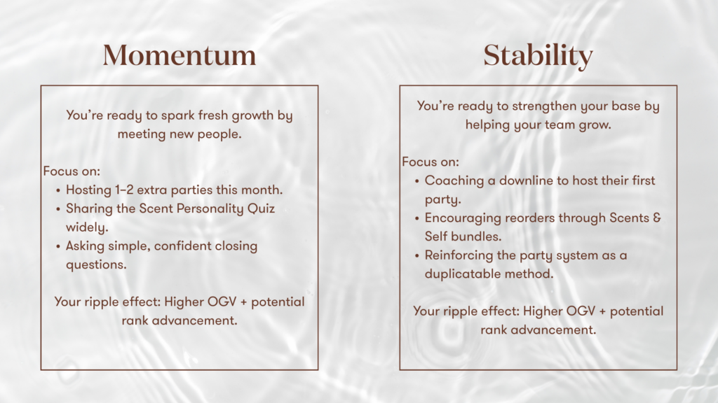 S&S – Profit – 7