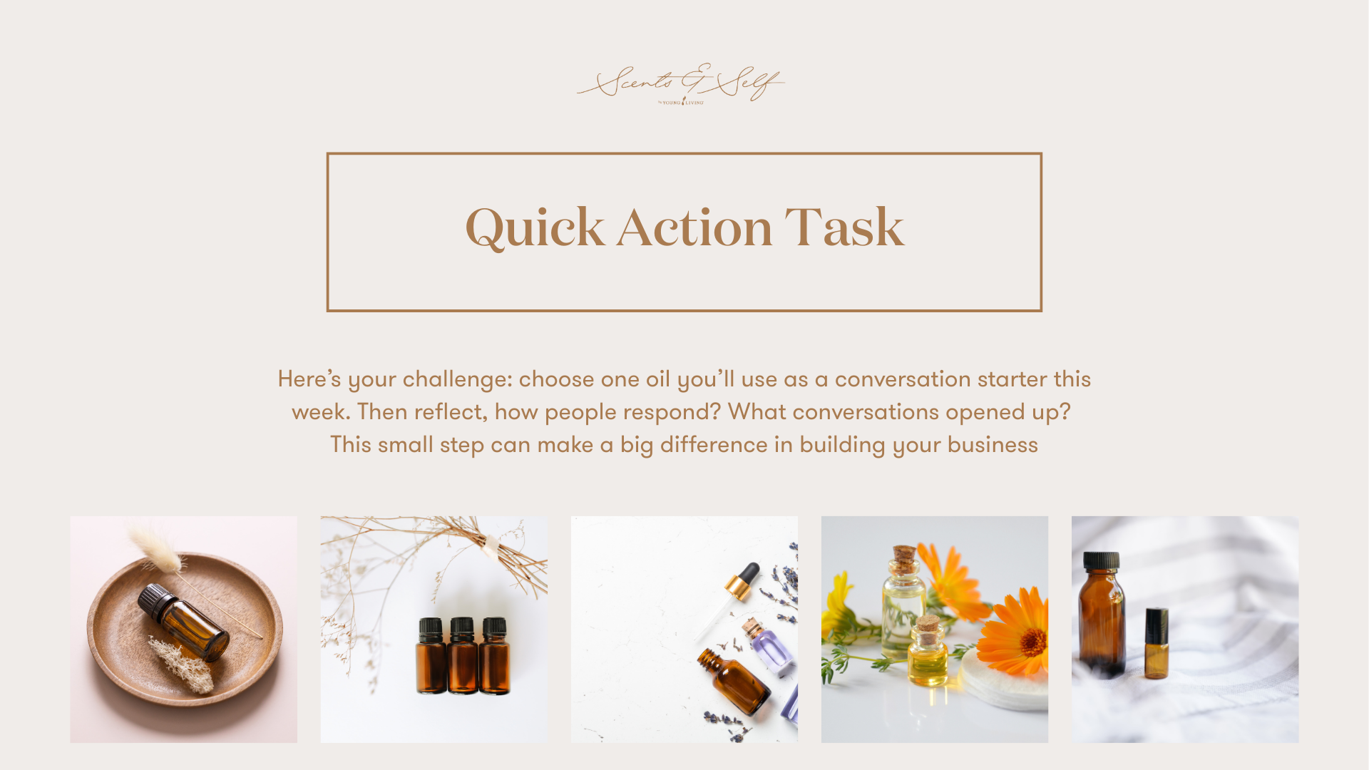 Scents & Self ELM – MEJ (2)