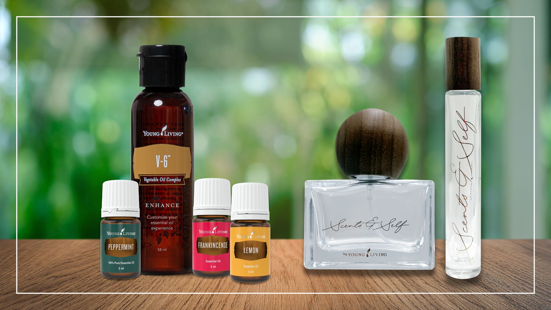 Scents & Self Edu (2)