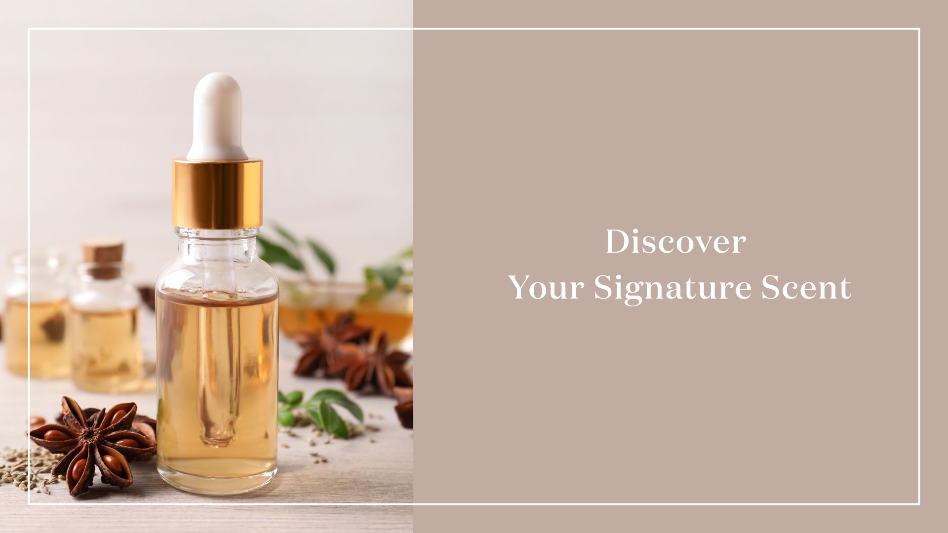 Scents & Self Edu
