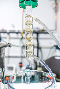 Formulation and Production