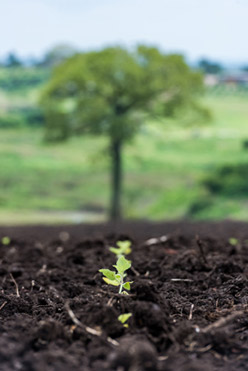 Innovative Product Development