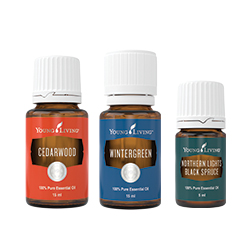 Our Favourite Scents of the Season